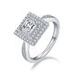 Princess-Cut Moissanite Double Halo Statement Ring in 925 Sterling Silver